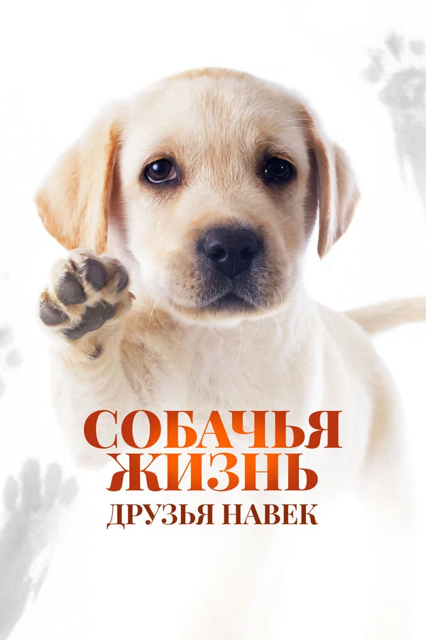 Собачья жизнь: Друзья навек 2023 постер